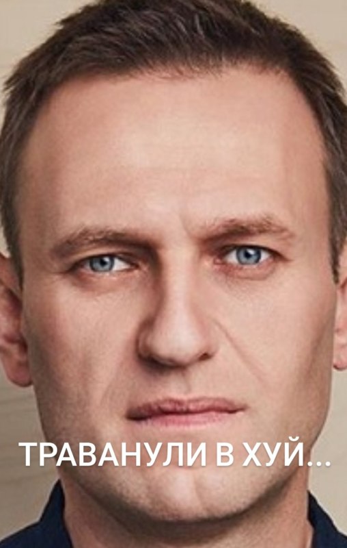 трусы навального трусы навального