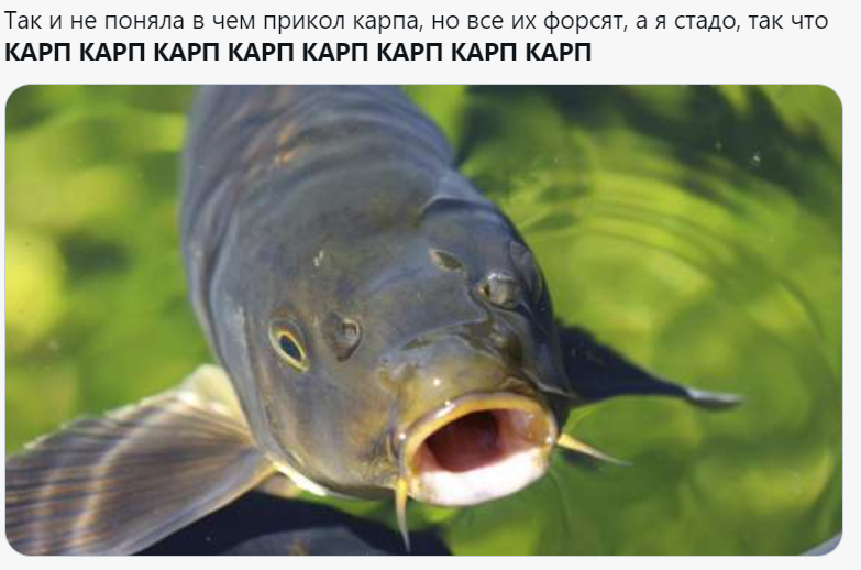 Карп