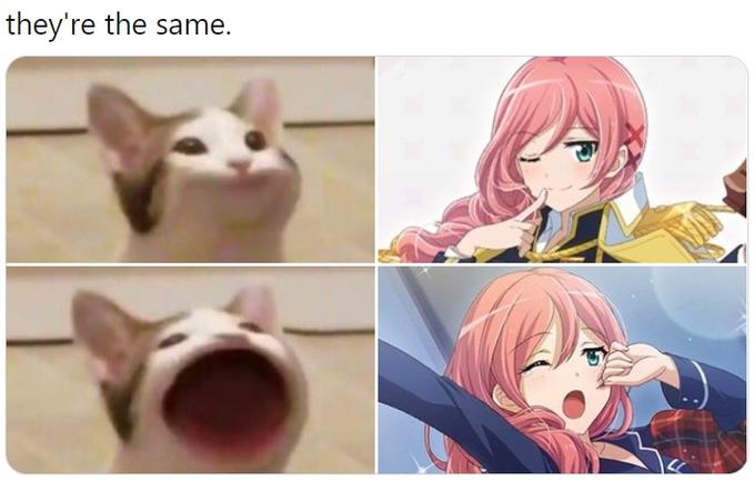 pop cat meme pop cat meme