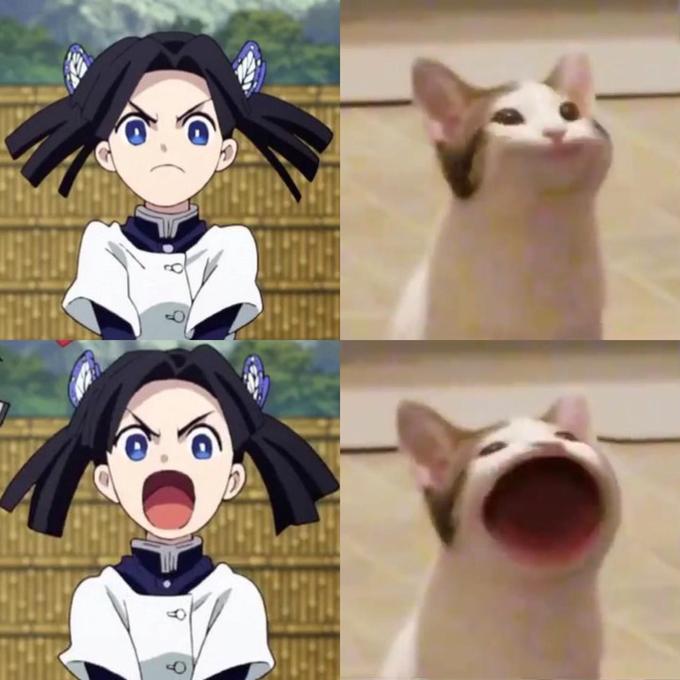 pop cat meme pop cat meme
