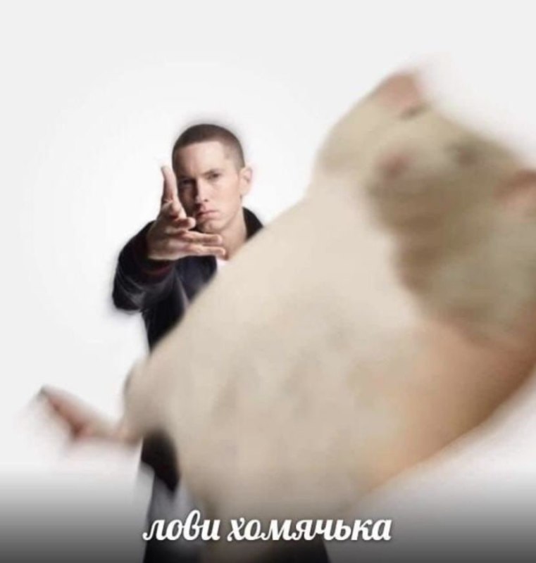 лови хомячка