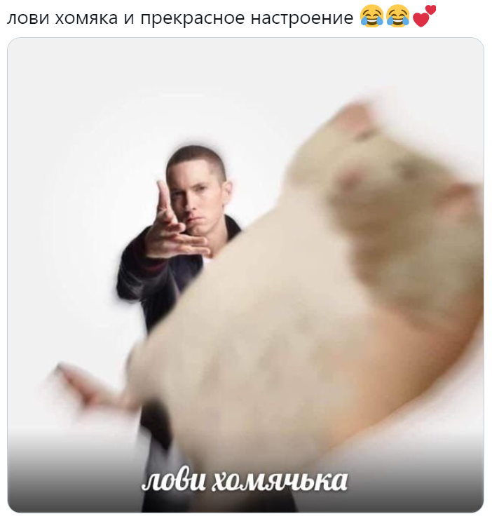Лови хомяка