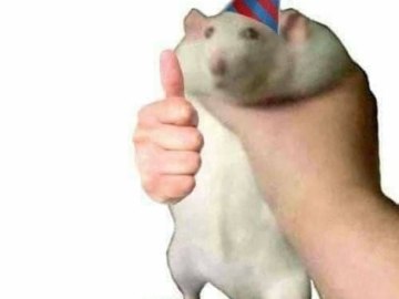 Лови хомяка