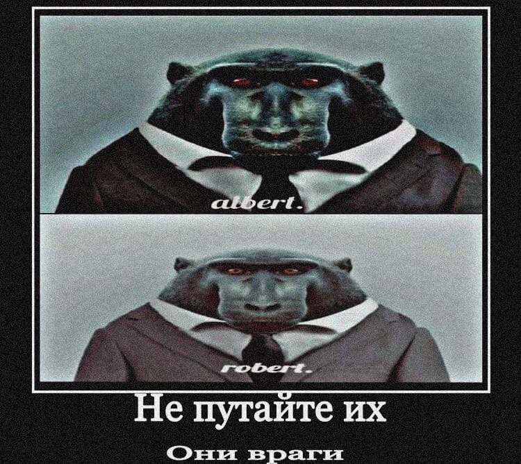 Роберт