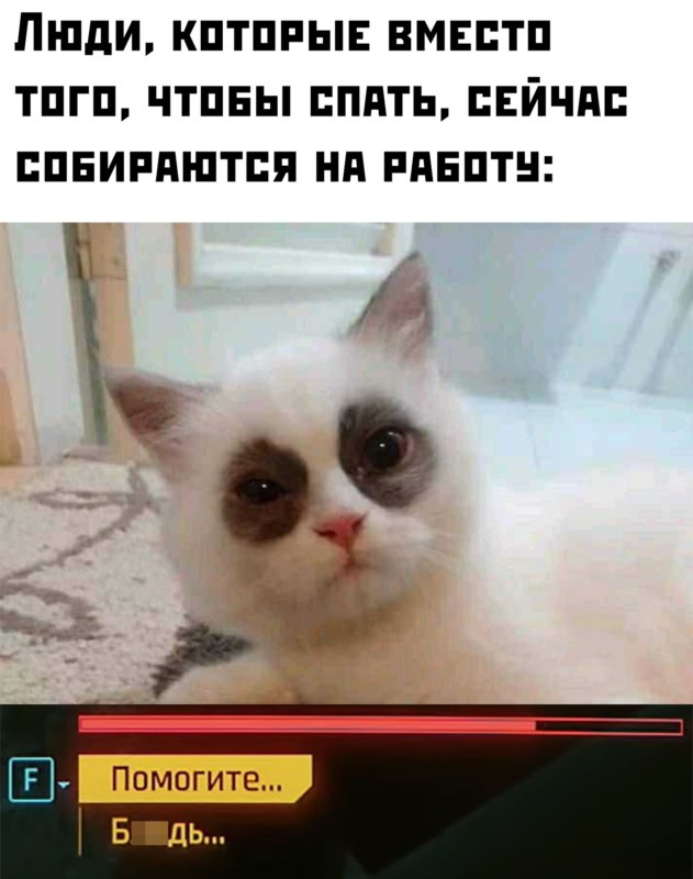 Помогите блять