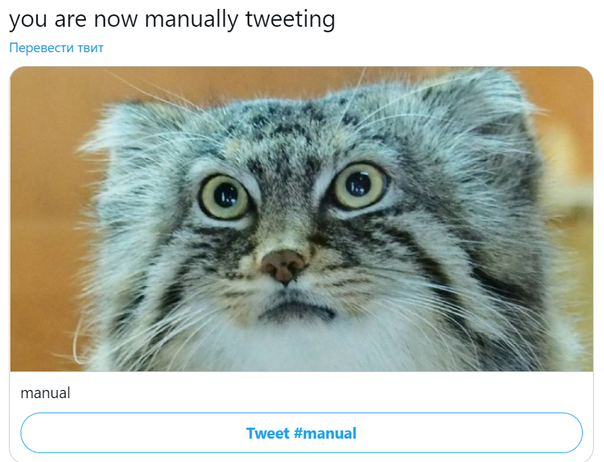 you are manually tweeting