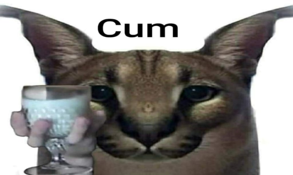 cum мем