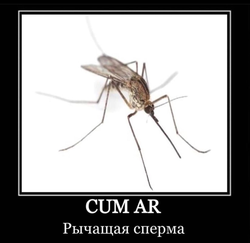 Cum