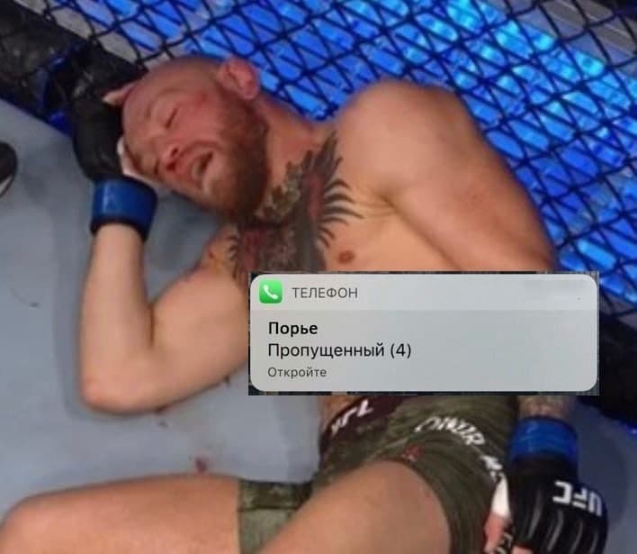 макгрегор порье мемы макгрегор порье мемы