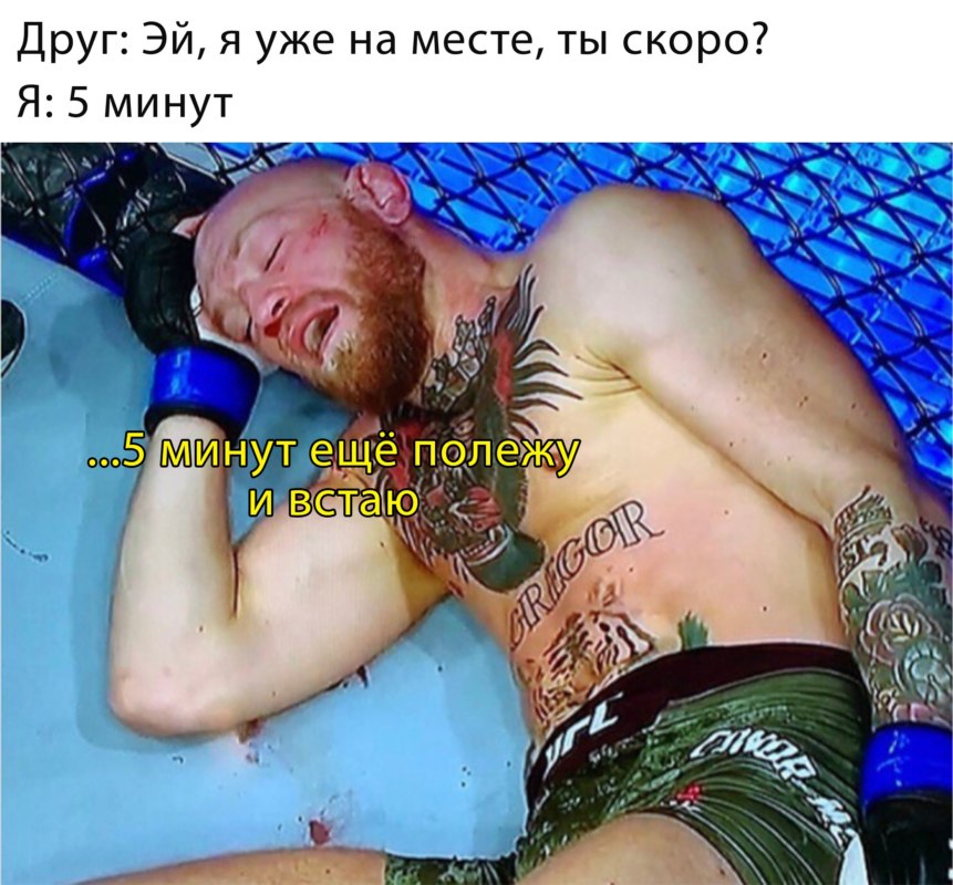 макгрегор спит лежит макгрегор спит лежит