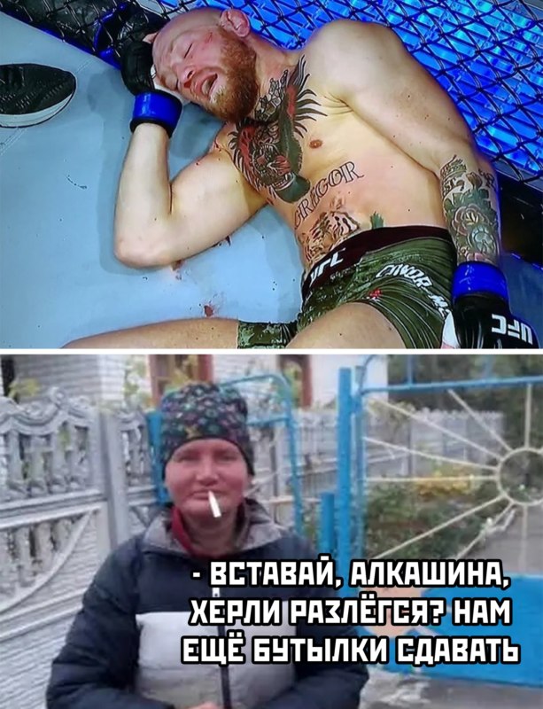 макгрегор спит лежит макгрегор спит лежит