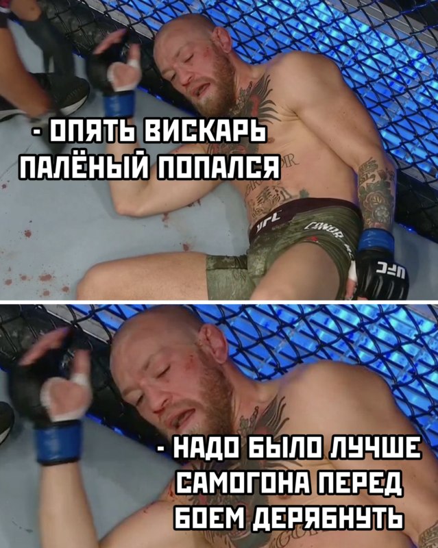 макгрегор порье мемы макгрегор порье мемы