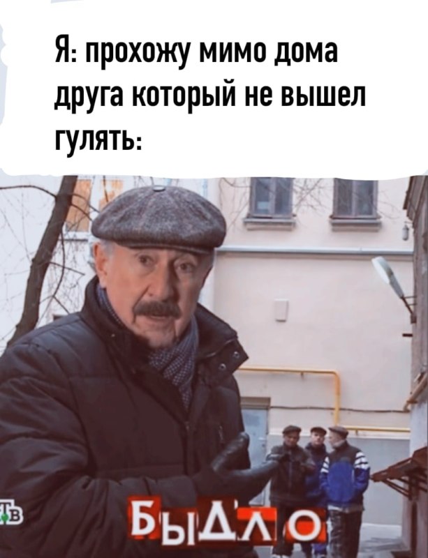 Быдло Каневский