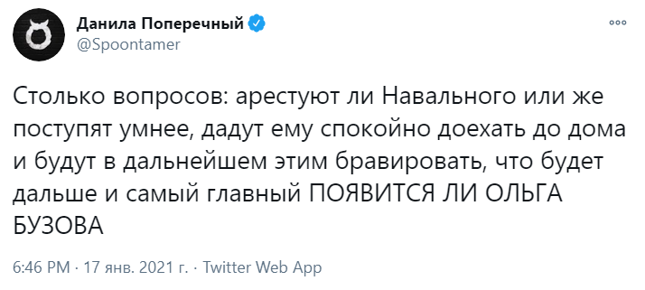 Навальный вернулся в Россию Навальный вернулся в Россию