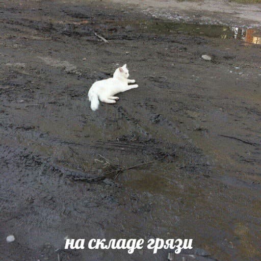 склад грязи склад грязи