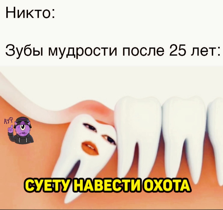 суету навести суету навести