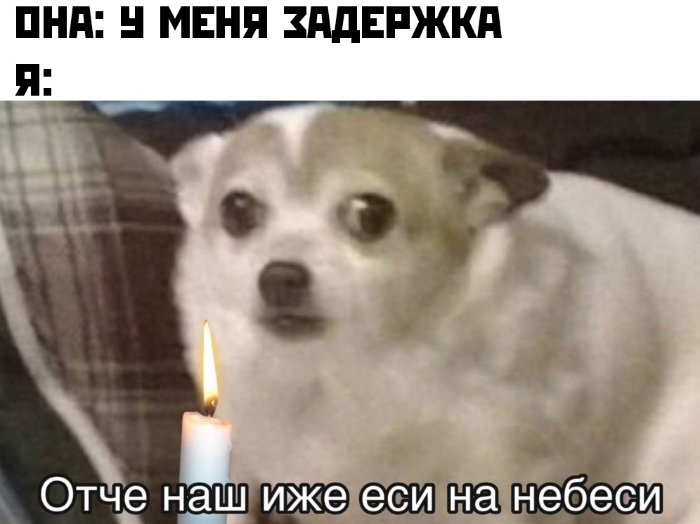 отче наш иже еси на небеси мем собака