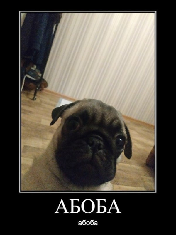 Абоба