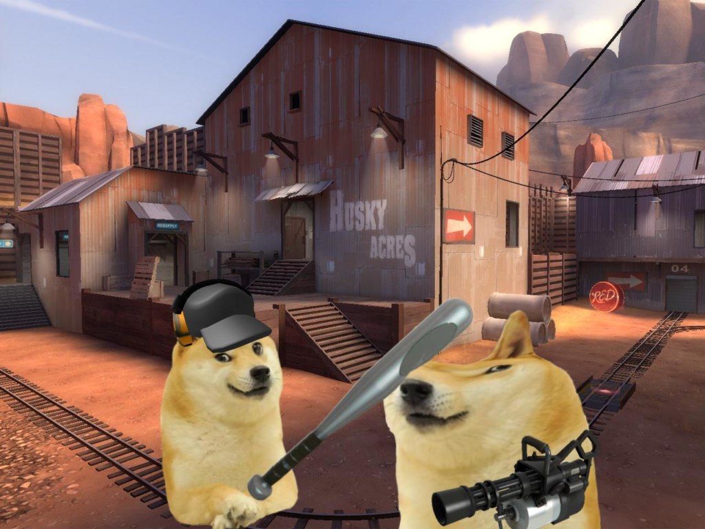 Bonk