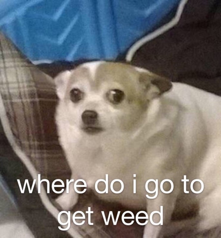 все что я умею это дышать мем