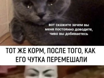 Повезло повезло