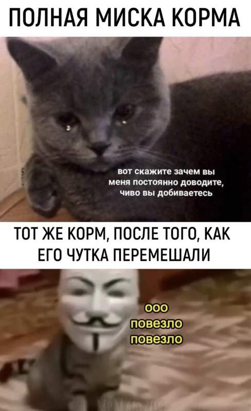 Повезло повезло