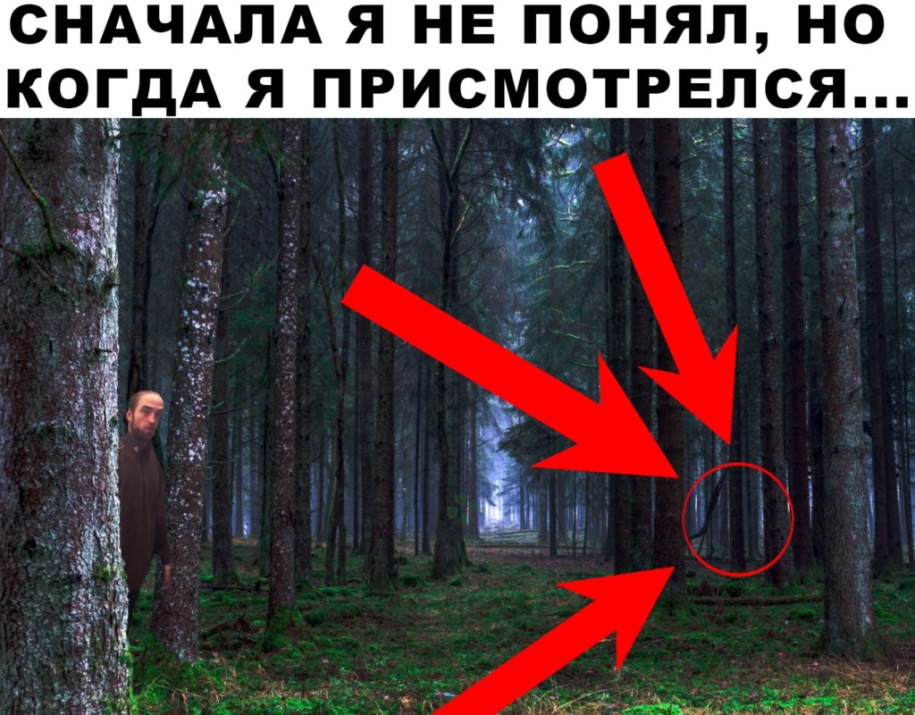 фотожабы с красным кругом фотожабы с красным кругом