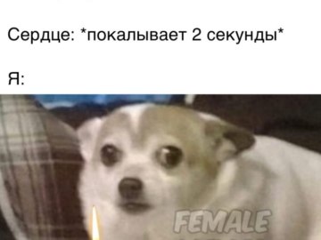 отче наш иже еси на небеси