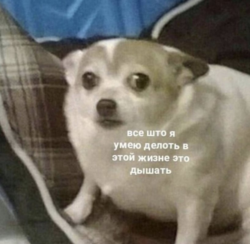 все что я умею это дышать мем