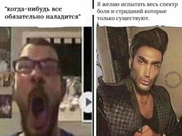 average fan vs. average enjoyer