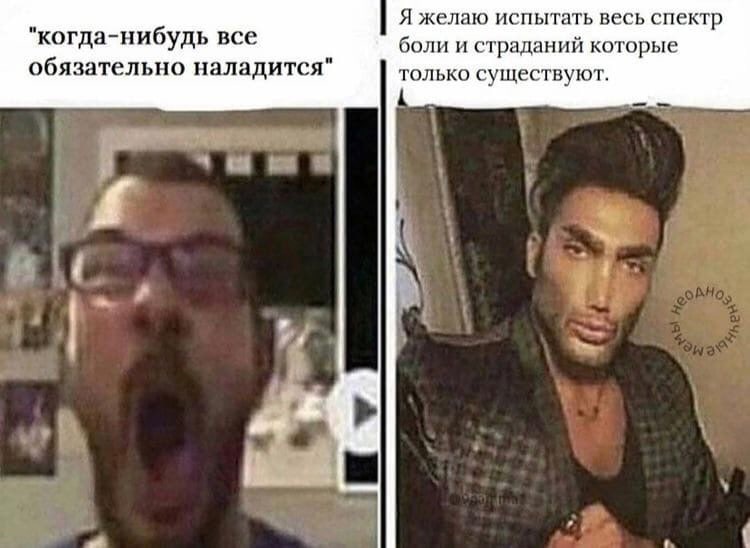 average fan vs. average enjoyer