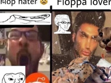 average fan vs. average enjoyer