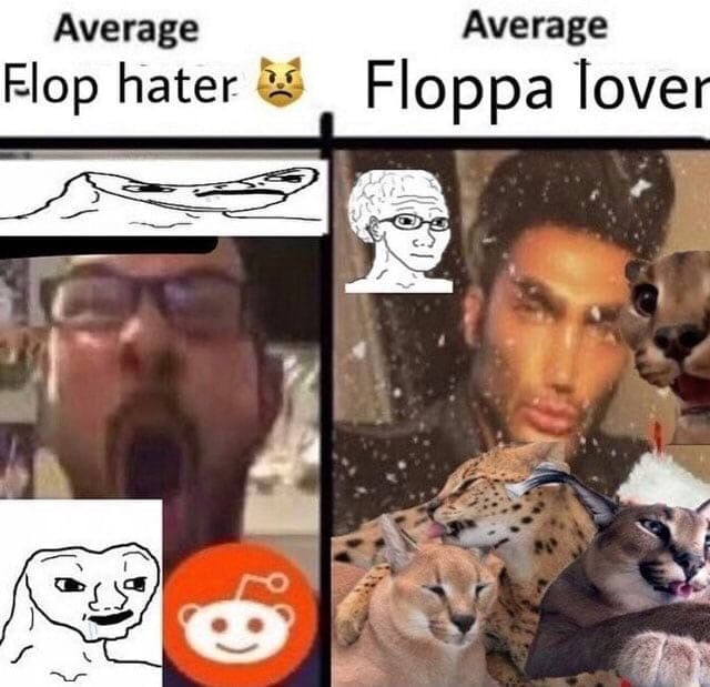 average fan vs. average enjoyer
