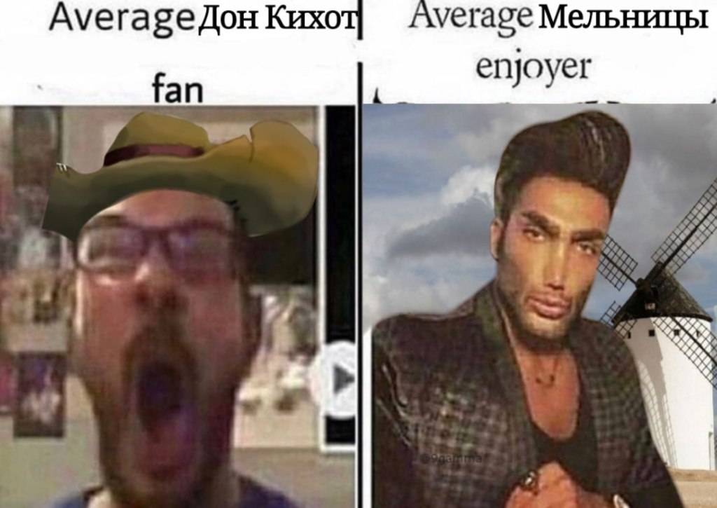 average fan vs. average enjoyer