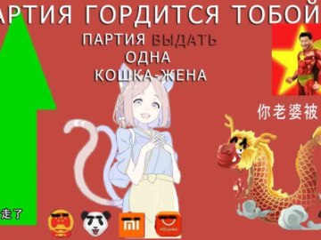 Китайские мемы