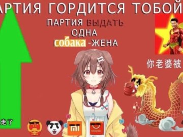 Китайские мемы