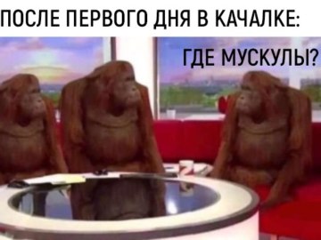 Обезьяны за столом / Where Banana
