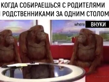 Обезьяны за столом / Where Banana