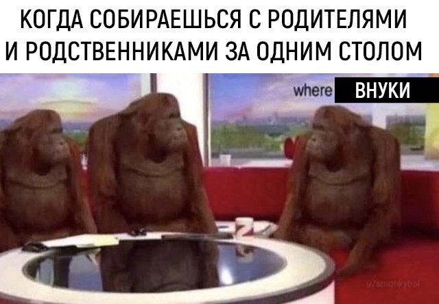 Обезьяны за столом / Where Banana