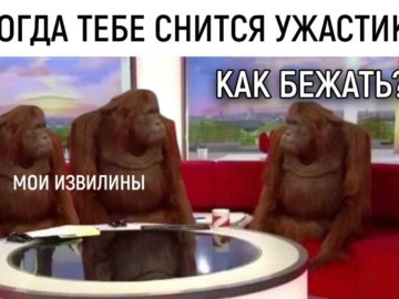 Обезьяны за столом / Where Banana
