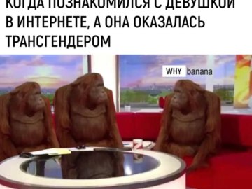 Обезьяны за столом / Where Banana