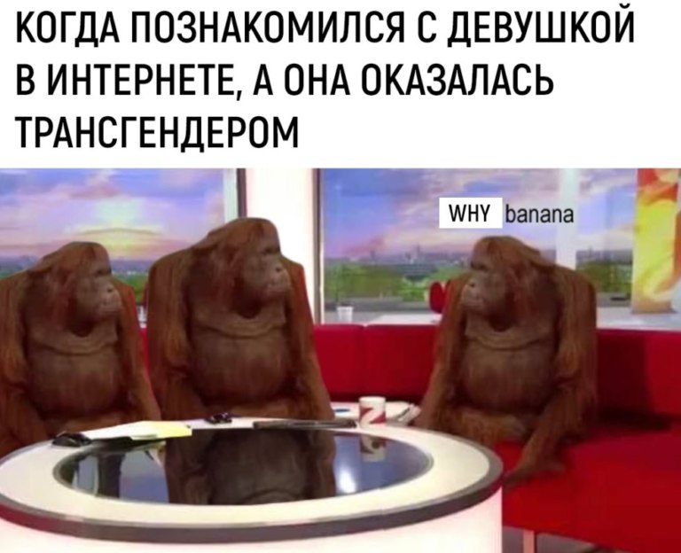 Обезьяны за столом / Where Banana