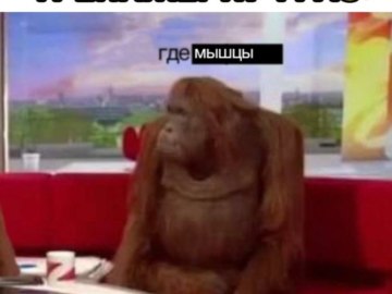 Обезьяны за столом / Where Banana