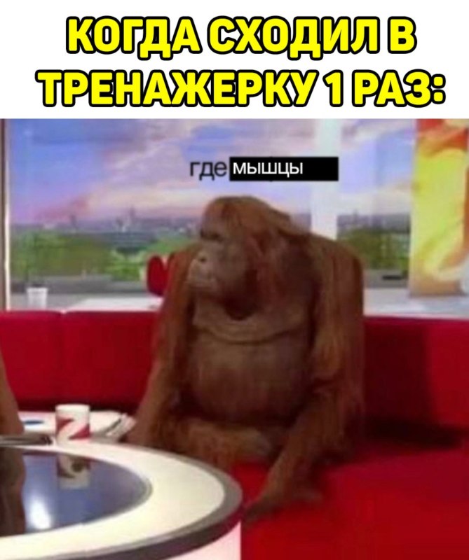 Обезьяны за столом / Where Banana
