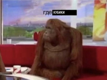 Обезьяны за столом / Where Banana