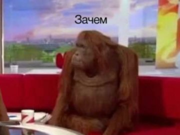 Обезьяны за столом / Where Banana