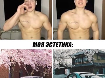 Эстетика Данила Степанова