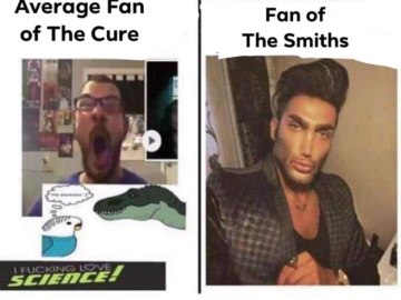 average fan vs. average enjoyer