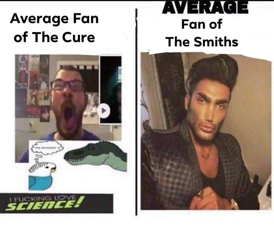 average fan average enjoyer мемы average fan average enjoyer мемы