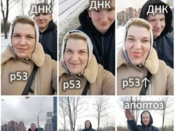 Сынуля Аболтус